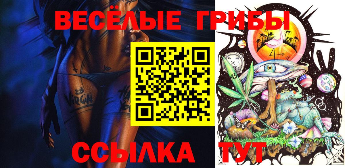 Пушкино  Галлюциногенные грибы Psilocybe  Вход с VPN  Псилоцибиновые грибы Cubensis 